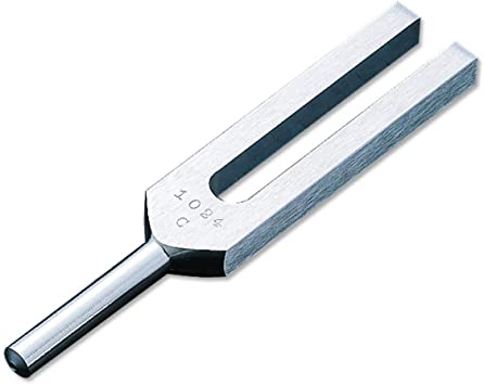 Tuning Forks C1024 without weight